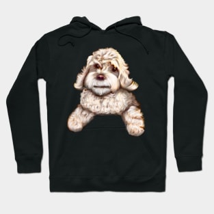 Cute white Cavapoo Cavoodle puppy dog - cavalier king charles spaniel poodle Hoodie